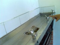 /album/mantenimiento-bebedero-de-estudiantes/image-633-jpg/