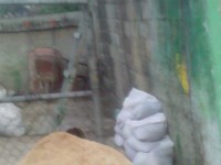 /album/reparacion-y-mantenimiento-de-paredes-del-deposito-/image-794-jpg/